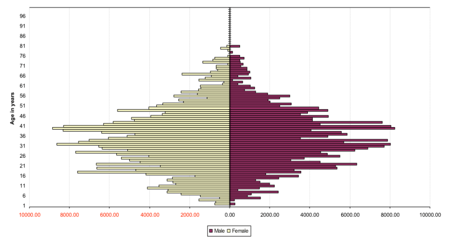 Age and Gender Structure of Black African People Born in the UK 2008