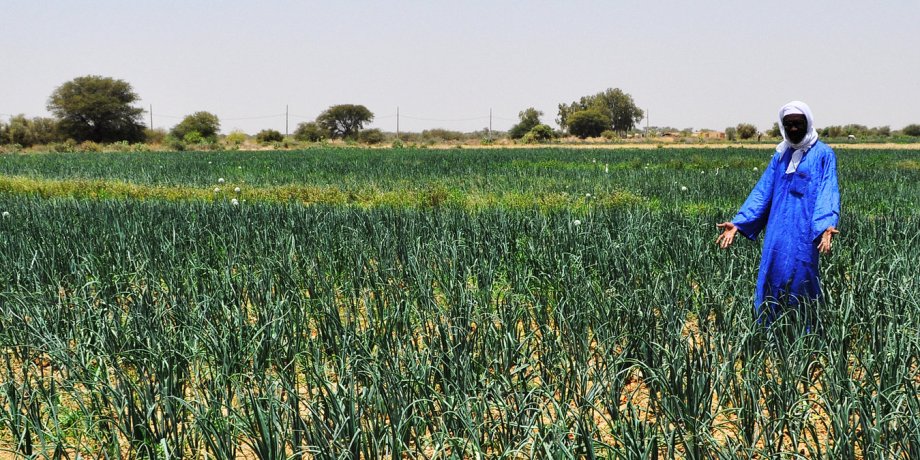 87b443_6140c207025c445ca8444ec65af3917e-jpg_srz_1349_675_85_22_0-50_1-20_0-00_jpg_srz