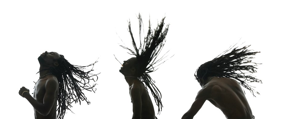 dreadlocks-robert-taylor