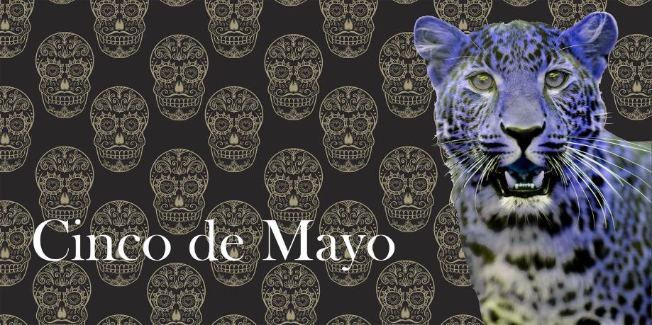 https---cdn.evbuc.com-images-29989943-151452440501-1-original